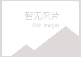 青岛四方山柳媒体有限公司